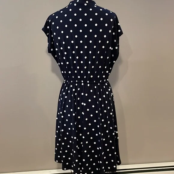 Roz & Ali cap sleeve polka dot cinch waist midi dress - Picture 4 of 7